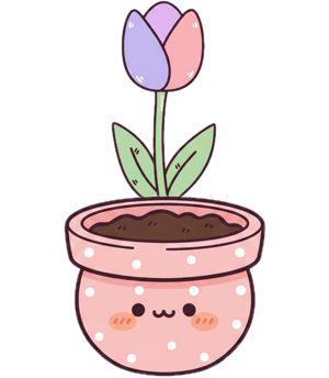 A potted plant